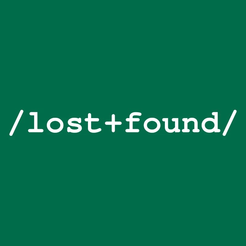 Lost+Found - /lost+found/ folder