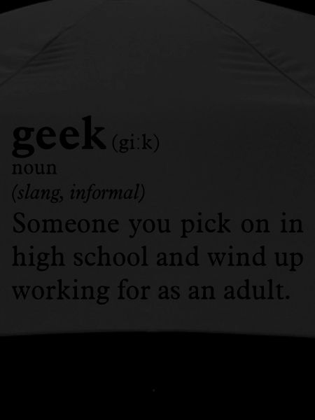 Geek definition