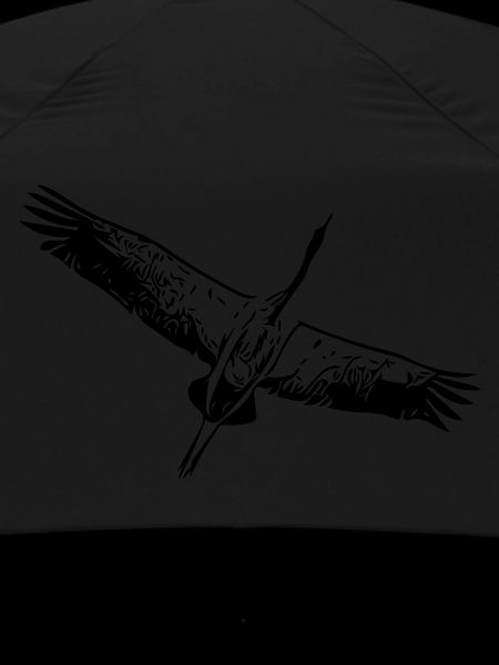 Heron bird in flight