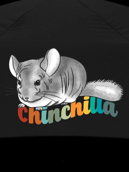 Chinchilla