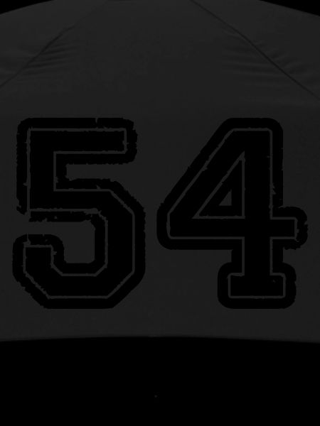 54