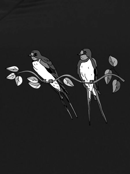 Birds