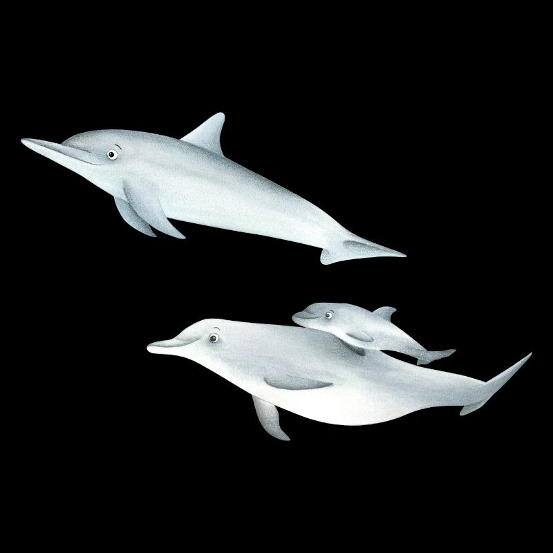 drôle de famille de dauphins