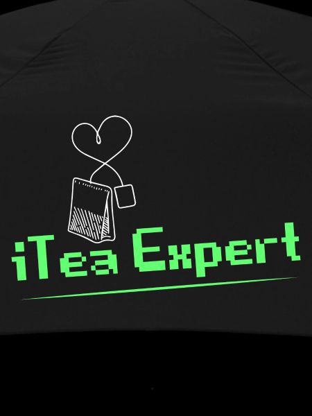 iTea Expert Software Coding