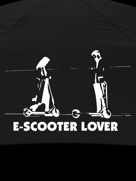 E-Scooter E-Roller Scooter