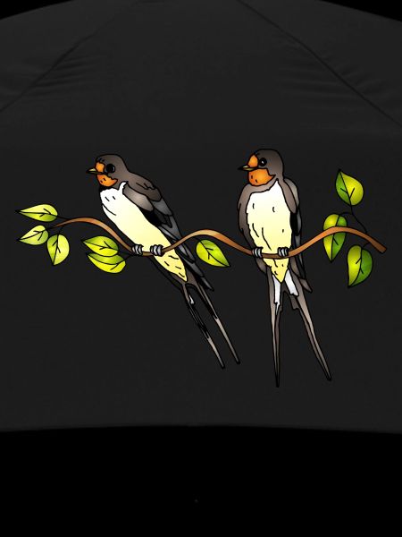 Oiseaux