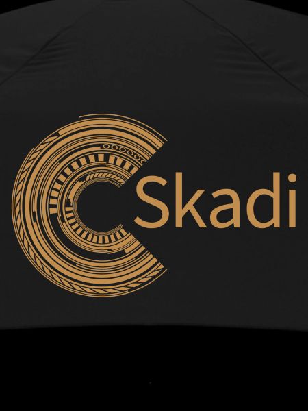 For Skadi