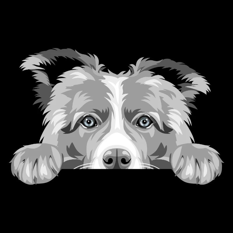 Peeking trauriger Border Collie Hund graue Farbe