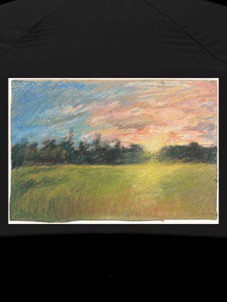 Meadow at sunset