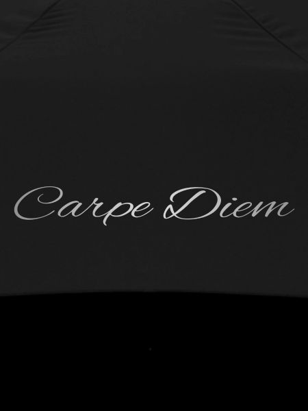 GreyCarpeDiem