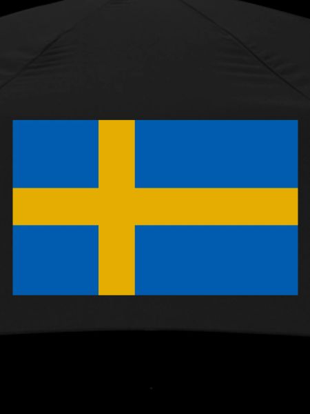 Sweden Flag