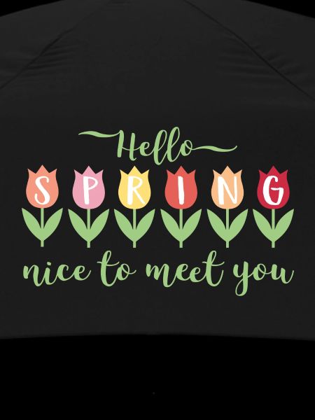Hello Spring