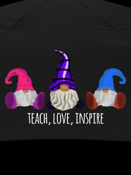 Teach Love Inspire