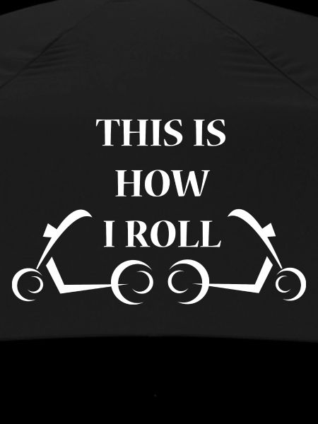 E-Scooter E-Roller Scooter