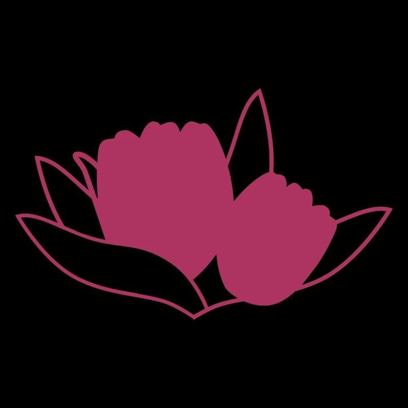 Tulipe Rosa