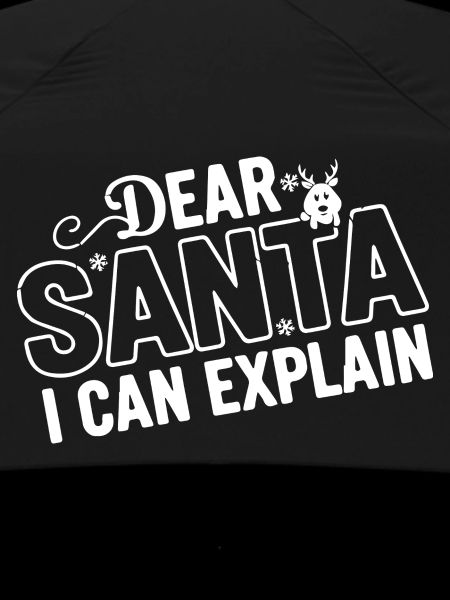 Dear Santa I Can Explain
