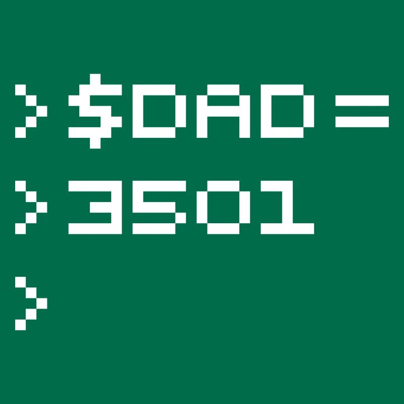 DAD Terminal de Pixels Nerd Code 8-Bits Rétro