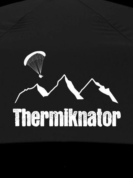 Thermal capacitor