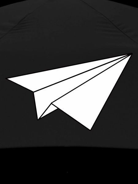 Paper airplane