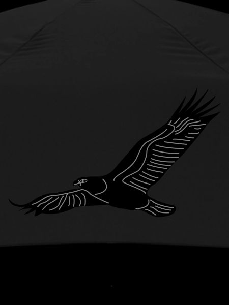 eagle01b