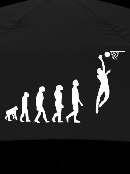 Basketball evolution