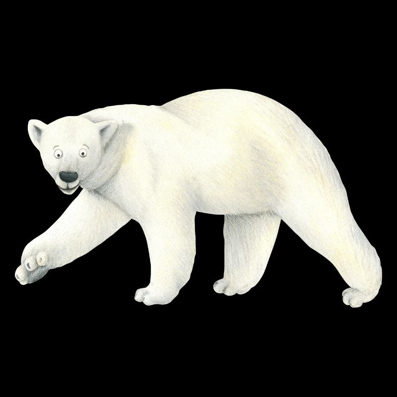 Ours polaire