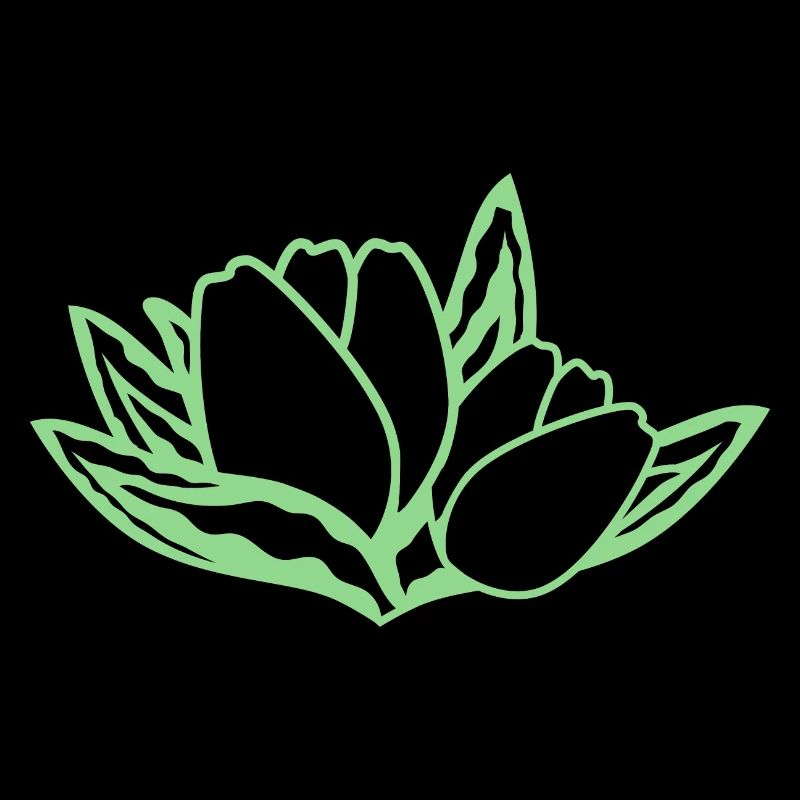 Tulipe