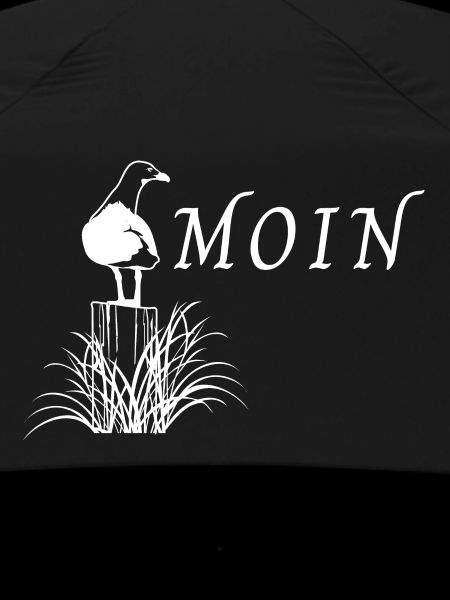 Moin