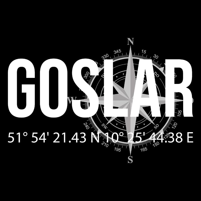 Koordinaten Goslar