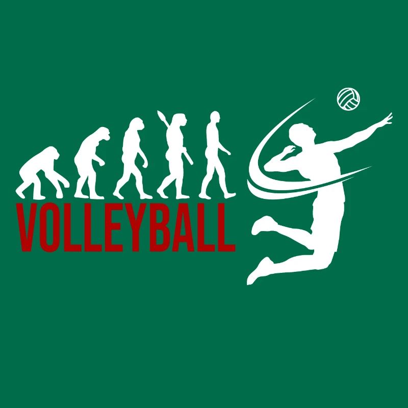 Evolution Volleyball