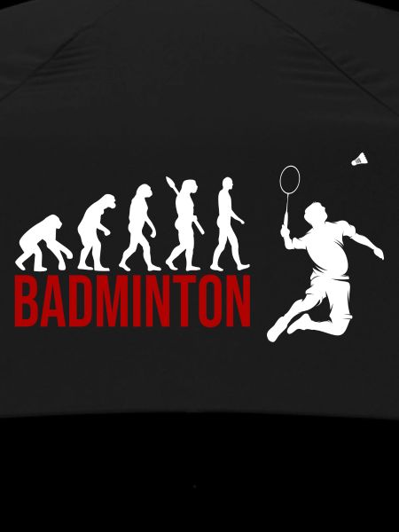 Evolution Badminton