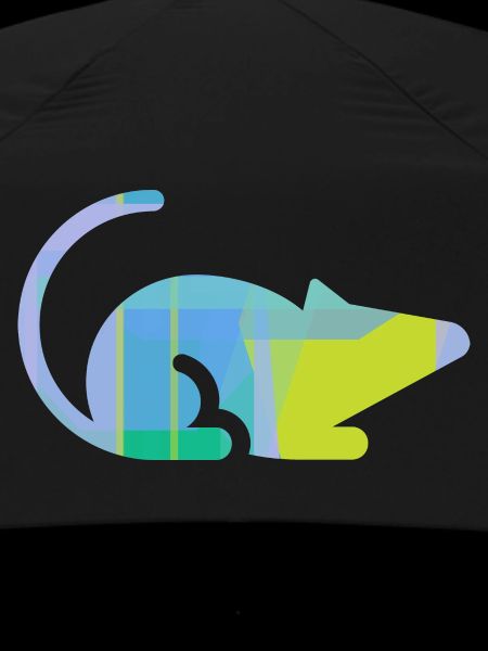 Maus