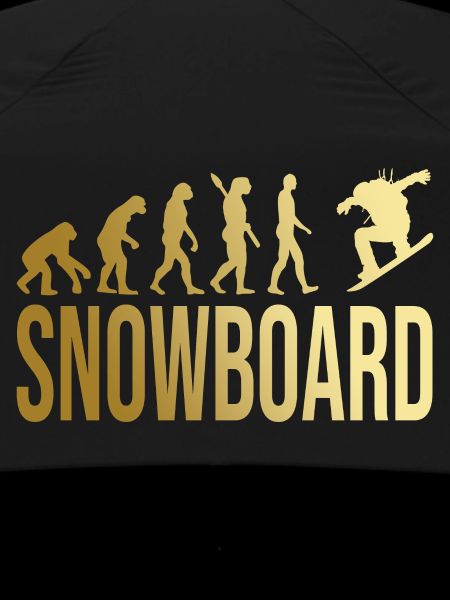 Evolution Snowboard