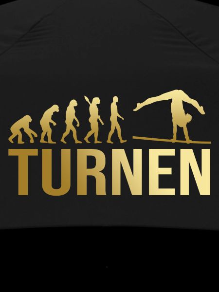 Evolution Turnen