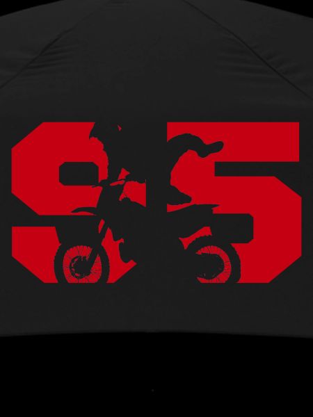 Moto 95 motard