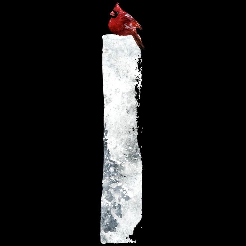 I – caractère décoratif – hiver