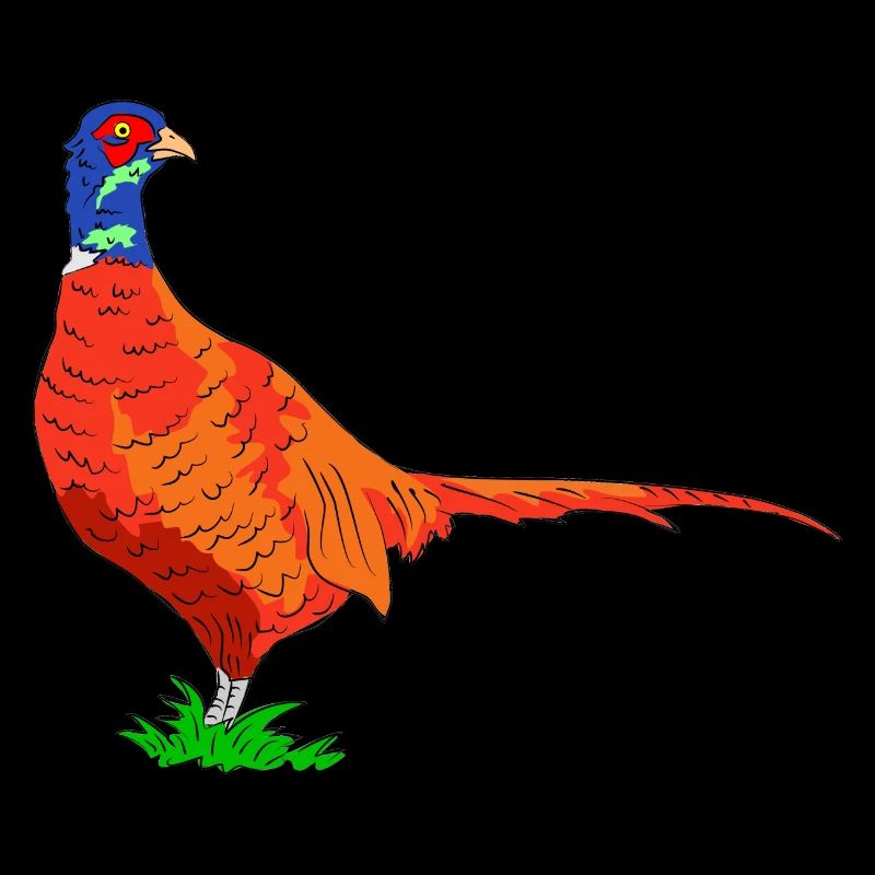 fasan vogel jäger