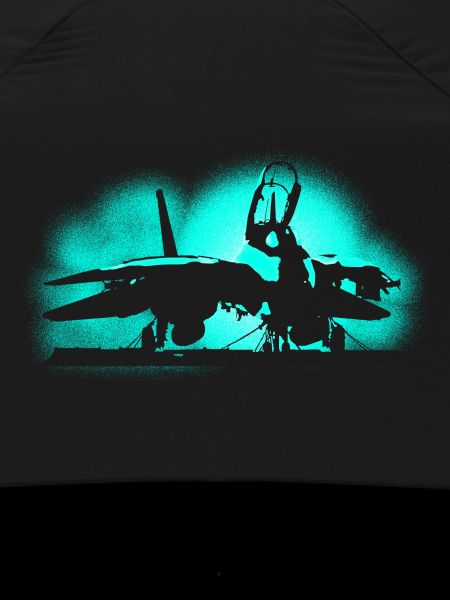 Jet F-14 Tomcat