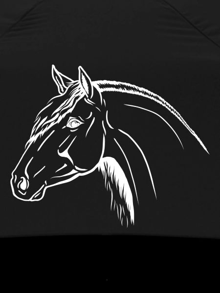 Andalusian Portrait
