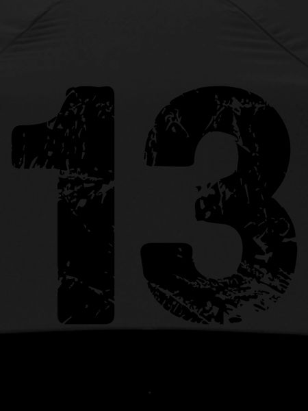 13