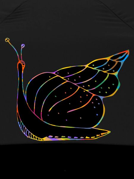 Snail