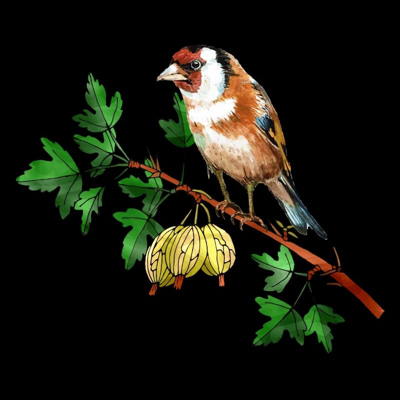 Oiseau coloré