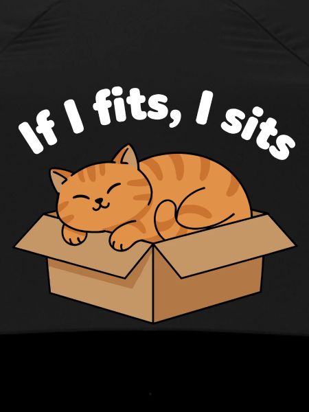 Katzenschnurren im Karton Meme