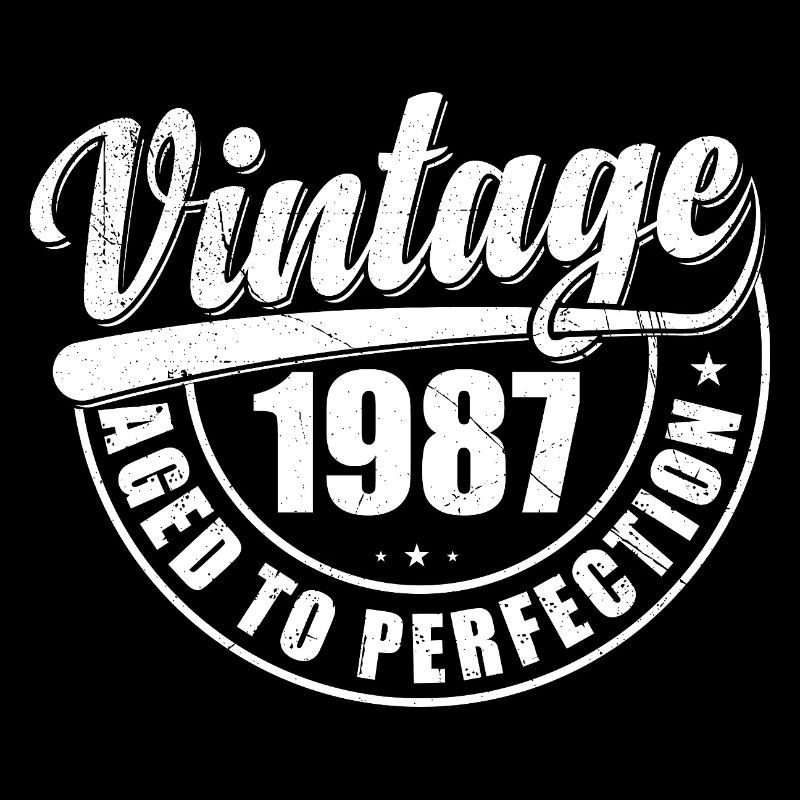 Birthday Gift 1987 Vintage 1987 Retro 1987