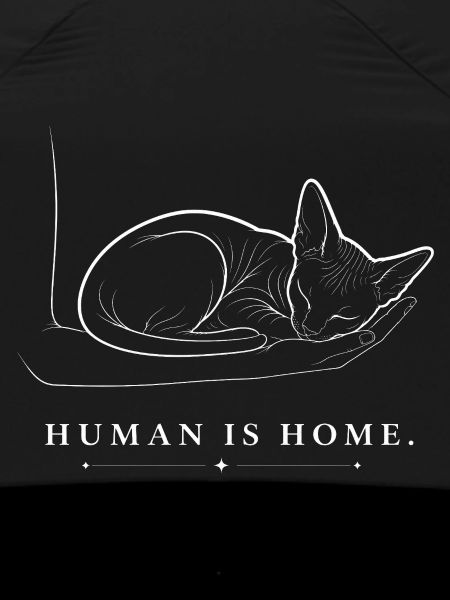 Sphynx Cat – Human Is Home