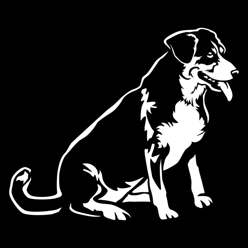 Entlebucher Sennenhund "Black Edition"