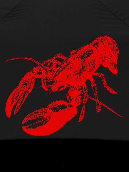 Bold Red Lobster Graphic Design