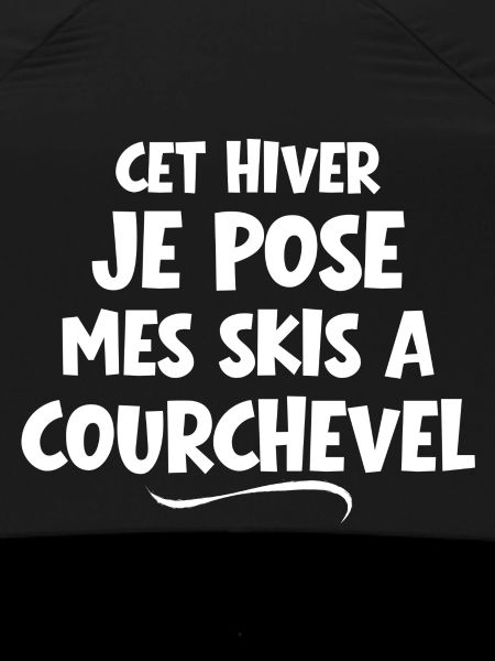 Skigebiet, Skigebiet