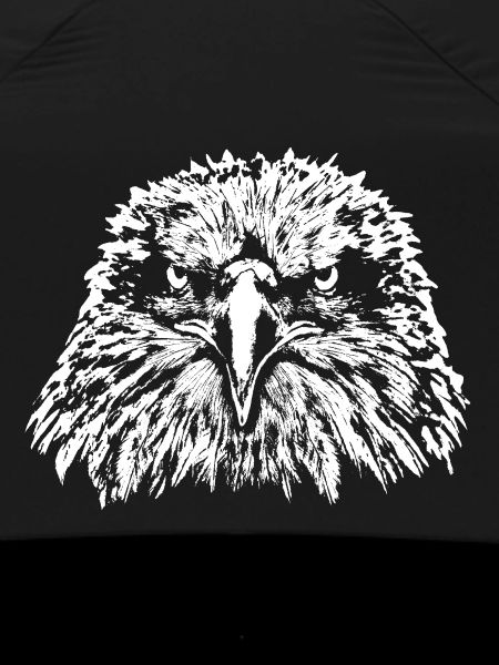 Eagle / Head / Bald Eagle