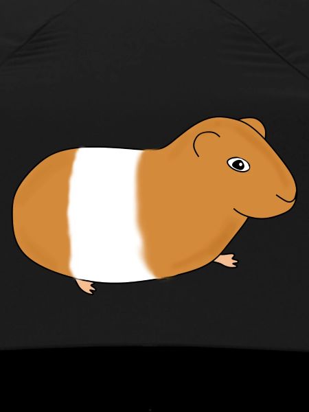 Guinea pig